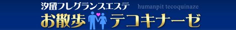 お散歩テコキナーゼ公式WEBサイト