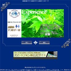 お散歩テコキナーゼ公式WEBサイト